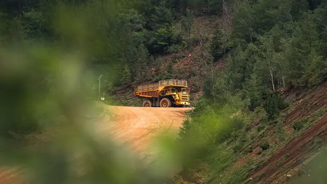 Caminhão basculante amarelo de grande porte trafega por estrada de terra cercada de mata densa