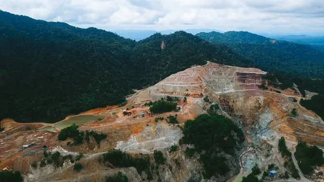 Vista aérea de uma pedreira cercada por floresta densa