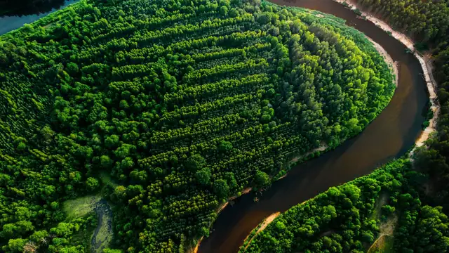 Vista aérea de um rio sinuoso cercado por floresta densa e verde